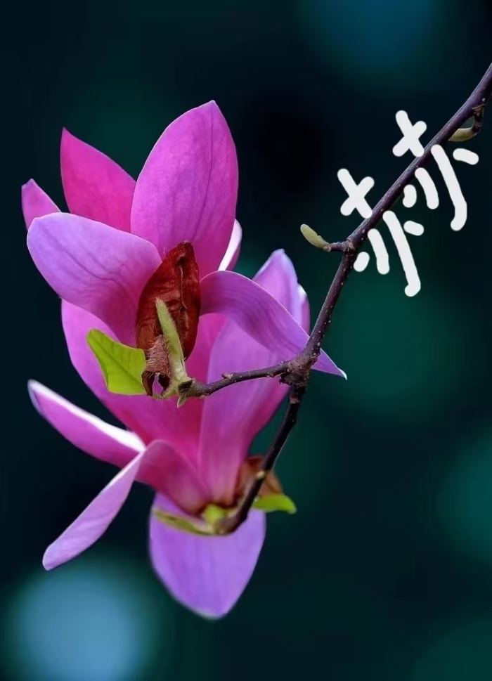 &#22825;&#21338;&#22312;&#32447;&#24179;&#21488;&#45;&#22825;&#21338;&#65288;&#20013;&#22269;&#65289;