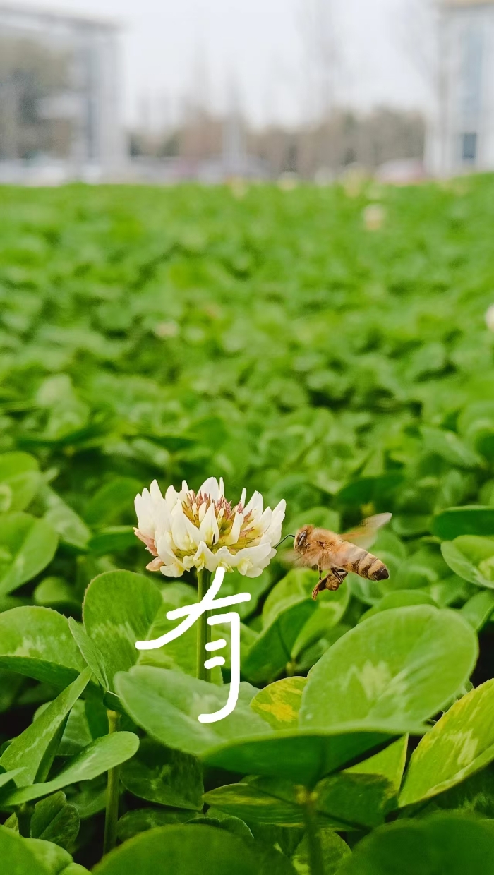 &#22825;&#21338;&#22312;&#32447;&#24179;&#21488;&#45;&#22825;&#21338;&#65288;&#20013;&#22269;&#65289;
