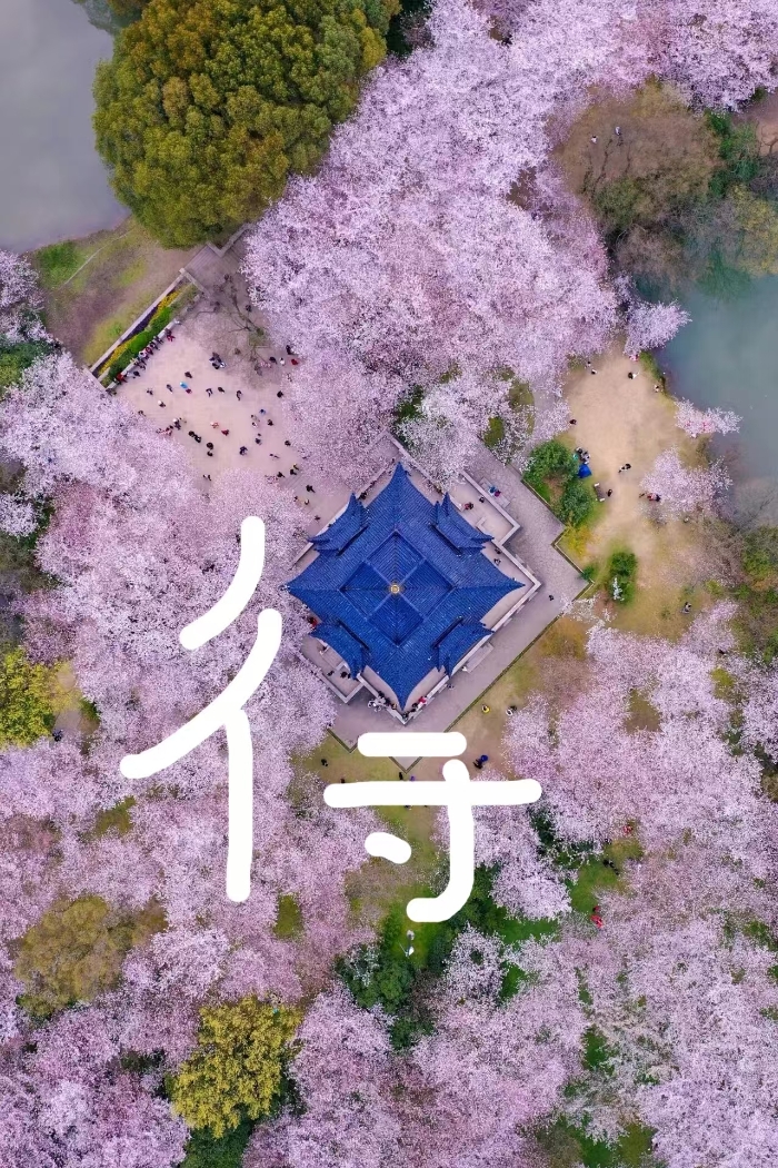 &#22825;&#21338;&#22312;&#32447;&#24179;&#21488;&#45;&#22825;&#21338;&#65288;&#20013;&#22269;&#65289;